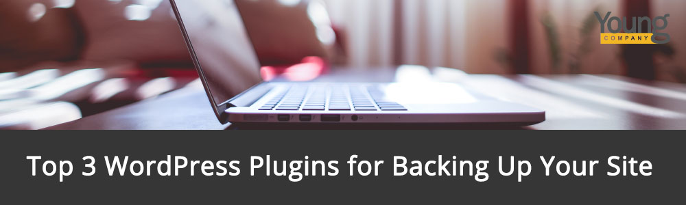 Top 3 WordPress Plugins for Backing Up Your Site