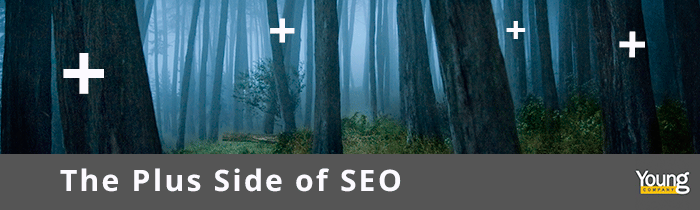 The Plus Side of SEO