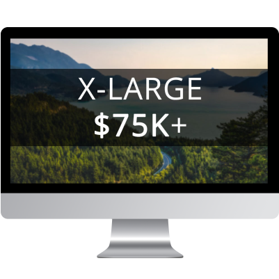 Large Website Investment