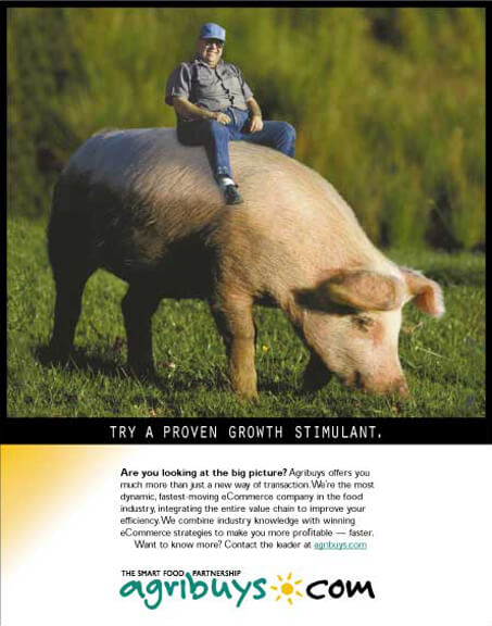 Agribuys Ad- County Fair - Big Pig
