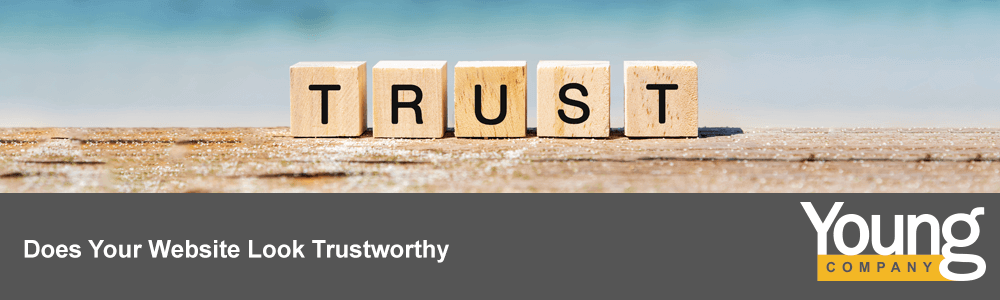 Does Your Website Look Trustworthy